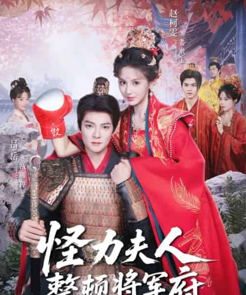 怪力夫人整顿将军府(60集全)吕岳&赵柯雯-搜外项目网