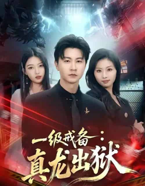 一级戒备:真龙出狱(73集全)王鹏&千文-搜外项目网