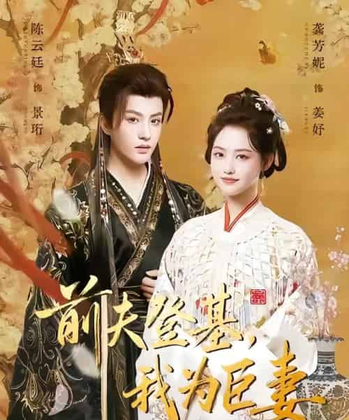 前夫登基我为臣妻（72集全）陈云廷＆龚芳妮-搜外项目网