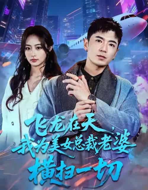 飞龙在天，我为美女总裁老婆横扫一切（86集全）李佳燚＆福猫-搜外项目网