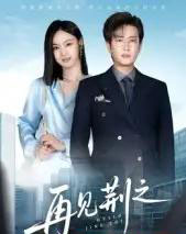 再见荆之(60集全)程屿燃&郑念-搜外项目网