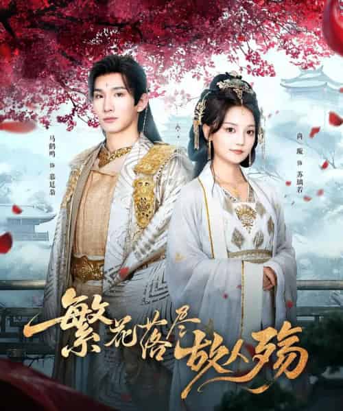 繁花落尽故人殇（70集）马鹤鸣＆尚璇-搜外项目网