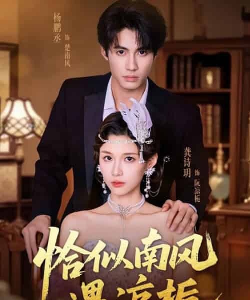 恰似南风遇凉栀（70集全）杨鹏丞＆龚诗玥-搜外项目网
