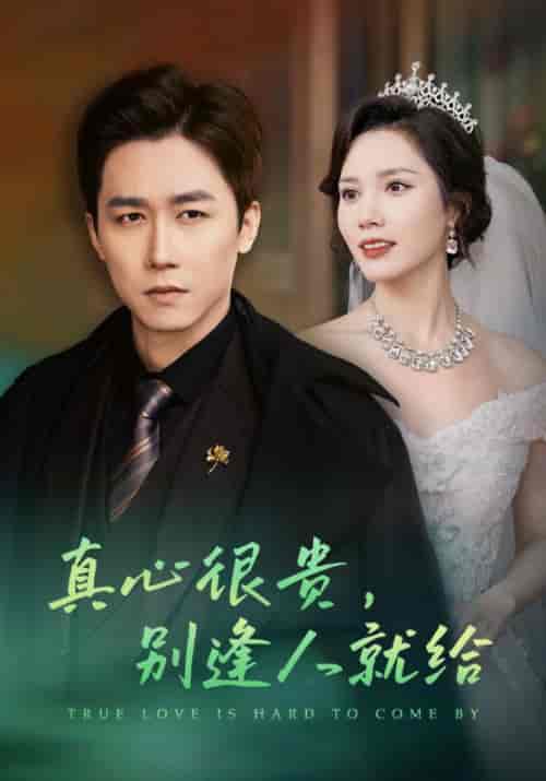 真心很贵，别逢人就给（50集全）陈枫＆黎溪-搜外项目网