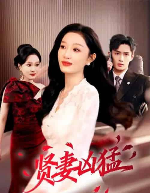 贤妻凶猛(60集全)孙子航&韩惟-搜外项目网