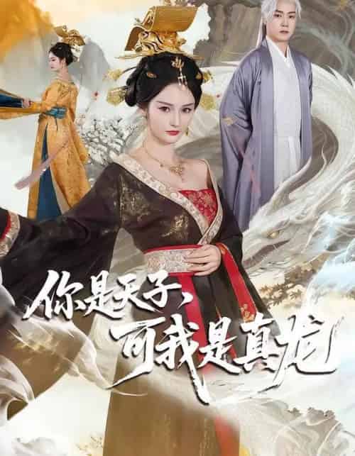你是天子，可我是真龙（88集全）孙雪阳＆胡冬晴-搜外项目网
