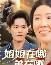 姐姐在哪弟在哪（62集全）郑晓甫-搜外项目网