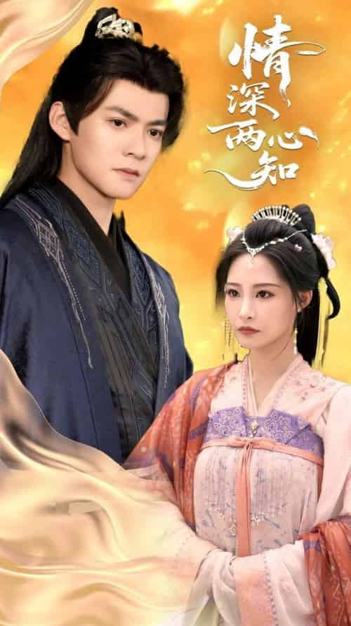 情深两心知(70集全)张震&吕岳-搜外项目网