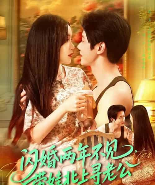 闪婚两年不见带娃北上寻老公（72集）朱佳琪＆何连飞-搜外项目网