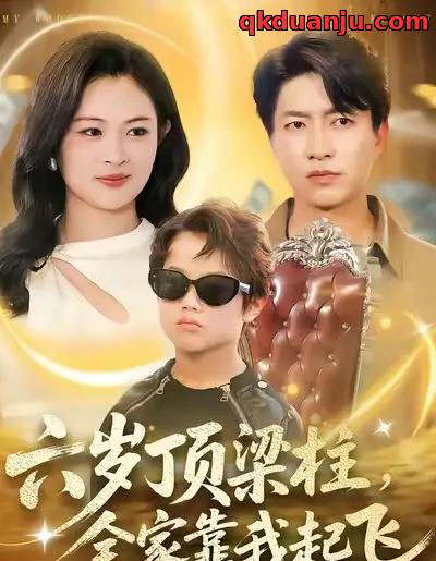 六岁顶梁柱，全家靠我起飞（90集全）陈子轩＆李媛媛-搜外项目网