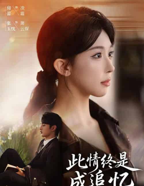 此情终是成追忆（70集全）张玉忱＆房蕾-搜外项目网