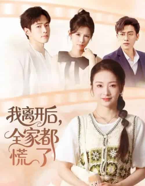 我离开后，全家都慌了（81集全）周昭昭＆王艺朴-搜外项目网