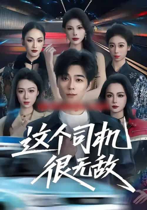 这个司机很无敌(74集全)高斌贺&刘霖诺-搜外项目网