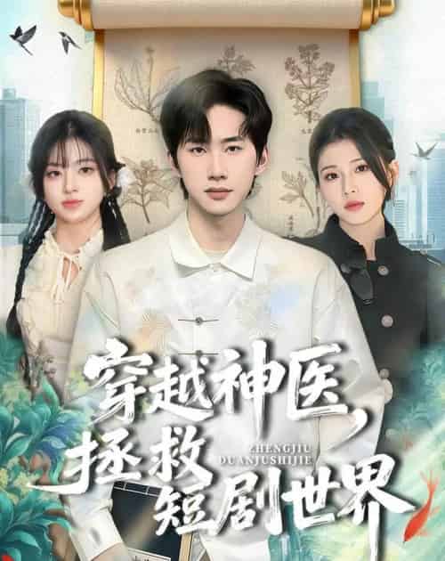 穿越神医，拯救世界（80集全）史竞豪＆胡蝶-搜外项目网