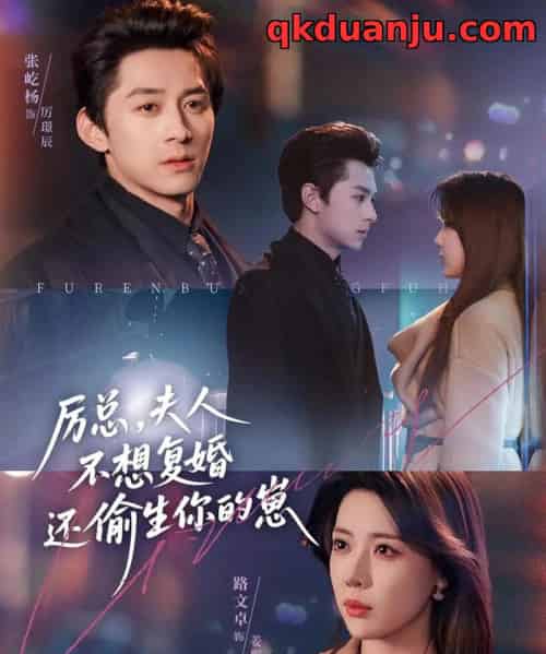 厉总，夫人不想复婚还偷生你的崽（80集全）张屹杨＆路文卓-搜外项目网