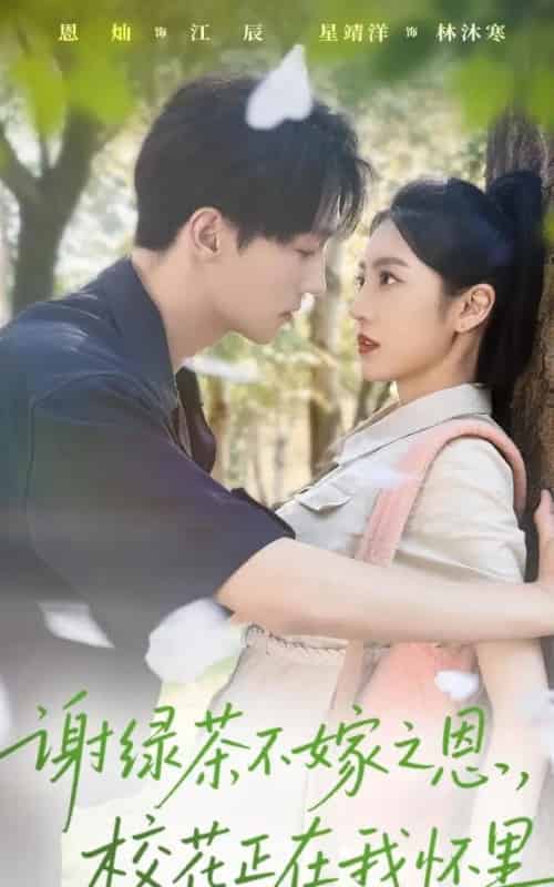 谢绿茶不嫁之恩校花正在我怀里(56集全)星靖洋&恩灿-搜外项目网