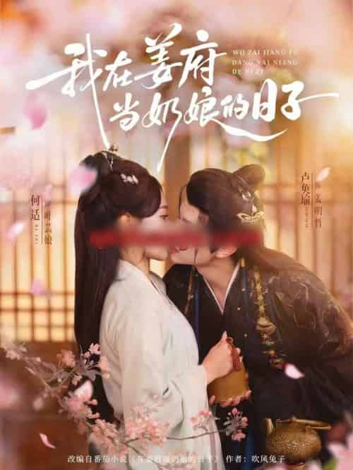 我在姜府当奶娘的日子（81集全）卢奂瑜＆何适-搜外项目网