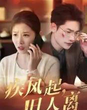 疾风起旧人离(32集)薛海威&刘灿-搜外项目网