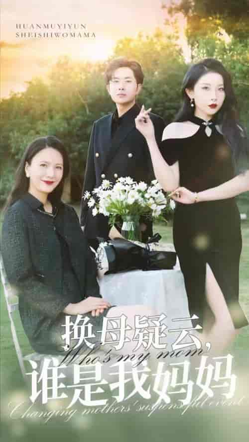 换母疑云，谁是我妈妈（62集全）张璇-搜外项目网