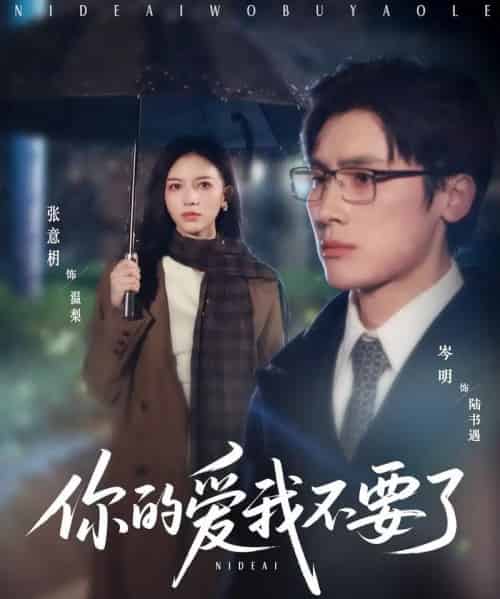 你的爱我不要了（64集）岑明＆张意枂-搜外项目网