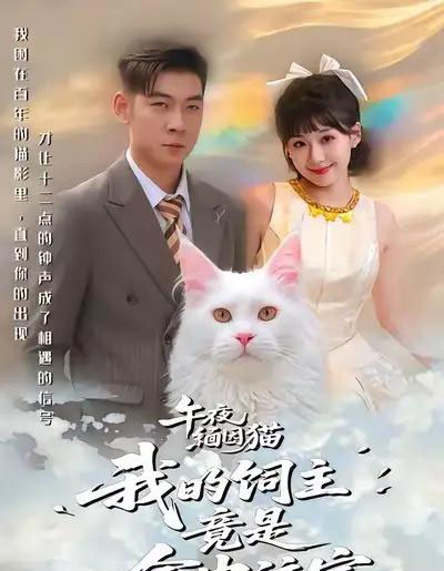 午夜缅因猫我的饲主竟是命中注定(66集全)白龙&王之遥-搜外项目网