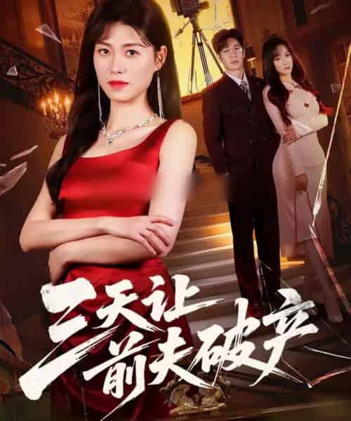 三天让前夫破产(60集全)诸玲颖&刘宸宇-搜外项目网