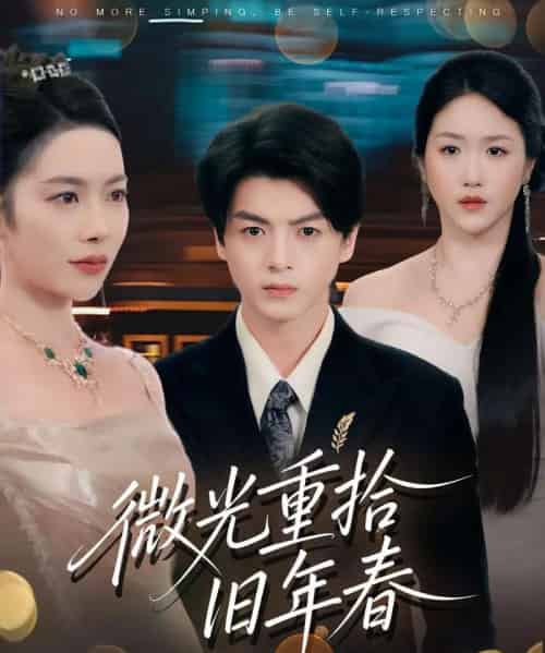 微光重拾旧年春(80集全)徐文聪&杨林涛-搜外项目网