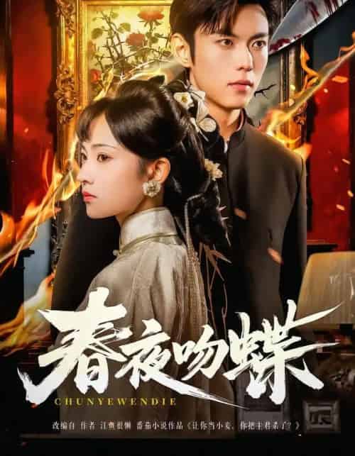 春夜吻蝶（81集全）于航＆王欢欢-搜外项目网