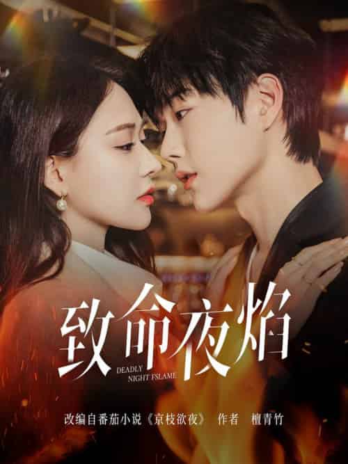 致命夜焰（80集全）王轩＆何适-搜外项目网