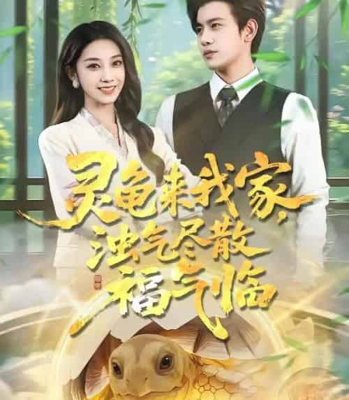 灵龟来我家,浊气尽散福气临(78集全)苏亮&王安琪-搜外项目网