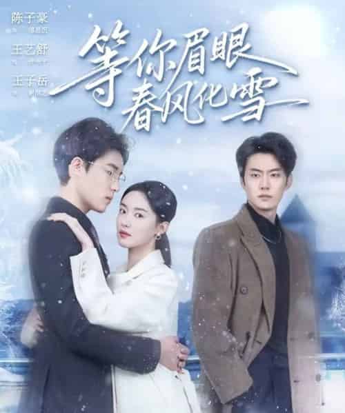 等你眉眼春风化雪（45集全）陈子豪＆王艺舒-搜外项目网