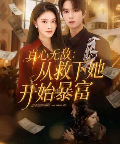 真心无敌:从救下她开始暴富(73集全)王知煜&曹渊-搜外项目网