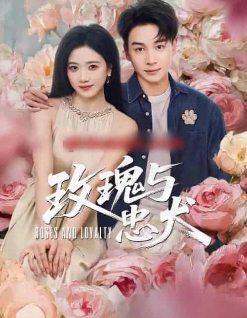 玫瑰与忠犬（80集全）范高坡＆雯婕-搜外项目网