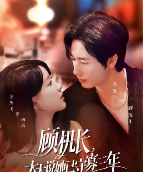 顾机长,太太说她已守寡三年&许你晴空万里(80集全)毛宽仁&王燕飞-搜外项目网