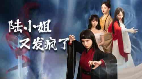 陆小姐又发疯了(28集全)索菲-搜外项目网