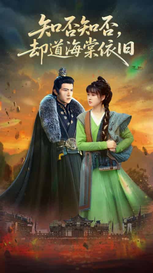 知否知否却道海棠依旧(100集)邵之鹏&杨帆-搜外项目网