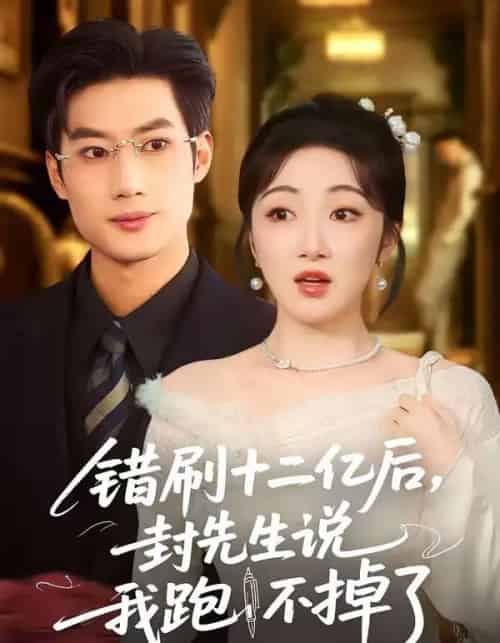 错刷十二亿后，封先生说我跑不掉了（100集全）肖洋＆海依凡-搜外项目网