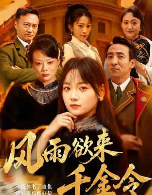 风雨欲来千金令（60集全）黄小再＆王嘉儒-搜外项目网