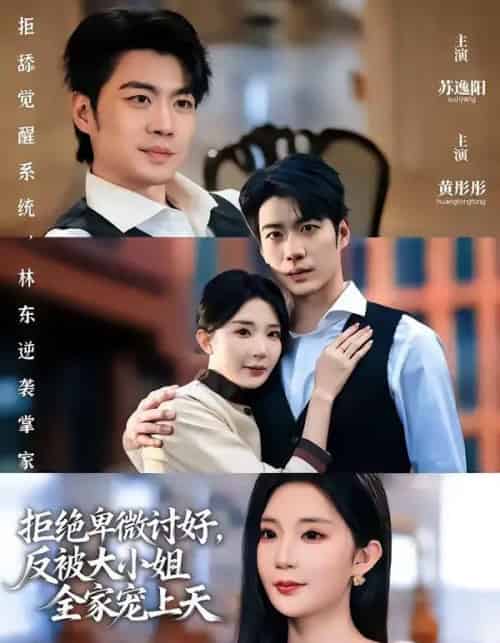 拒绝卑微讨好,反被大小姐全家宠上天(90集全)黄彤彤&苏逸阳-搜外项目网