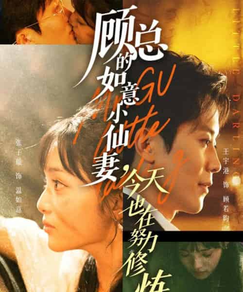 顾总的如意小仙妻，今天也在努力修炼（60集全）王宇港＆张子璇-搜外项目网