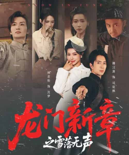 龙门新章之雪落无声(62集全)傅汉源&林君怡-搜外项目网