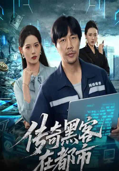 传奇黑客在都市（56集全）苗峰＆董洁-搜外项目网