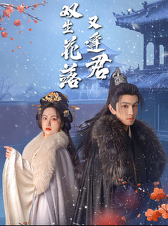 双生花落又逢君（66集全）林可汉＆白雪茹-搜外项目网