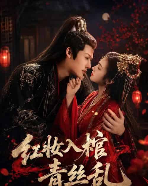 红妆入棺青丝乱（50集全）王美琪-搜外项目网