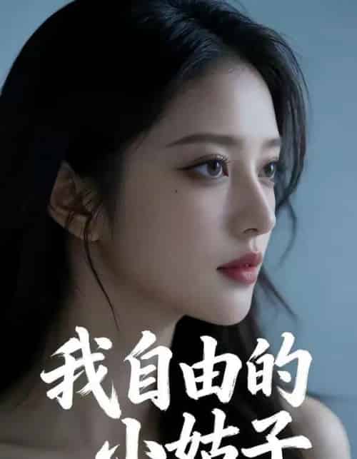 我自由的小姑子（42集全）AI-搜外项目网