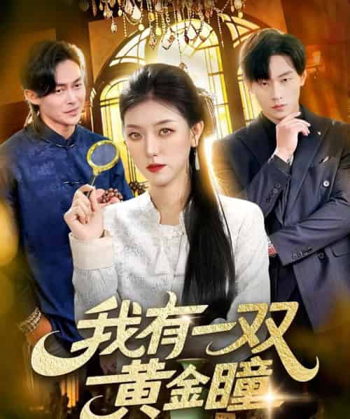 我有一双黄金瞳（110集全）张慧尧＆金南宇-搜外项目网