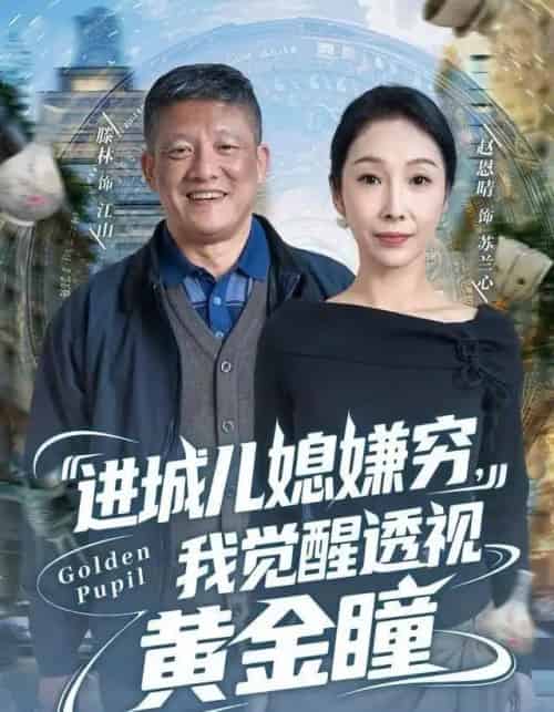 进城儿媳嫌穷,我觉醒透视黄金瞳(85集全)滕林&赵恩晴-搜外项目网