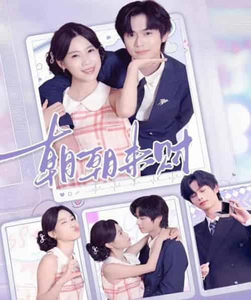 朝朝来财(60集全)李沐阳&陈七七-搜外项目网