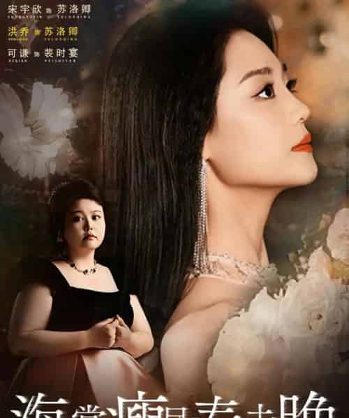 海棠瘦尽春未晚（62集）宋宇欣＆洪乔＆可谦-搜外项目网