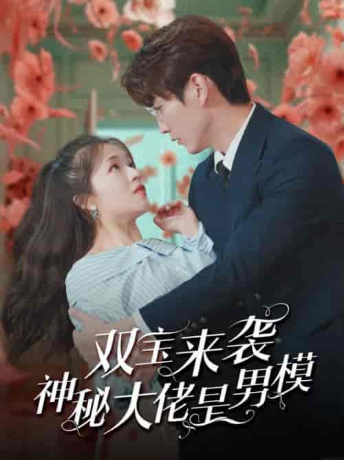 双宝来袭神秘大佬是男模（101集全）-搜外项目网